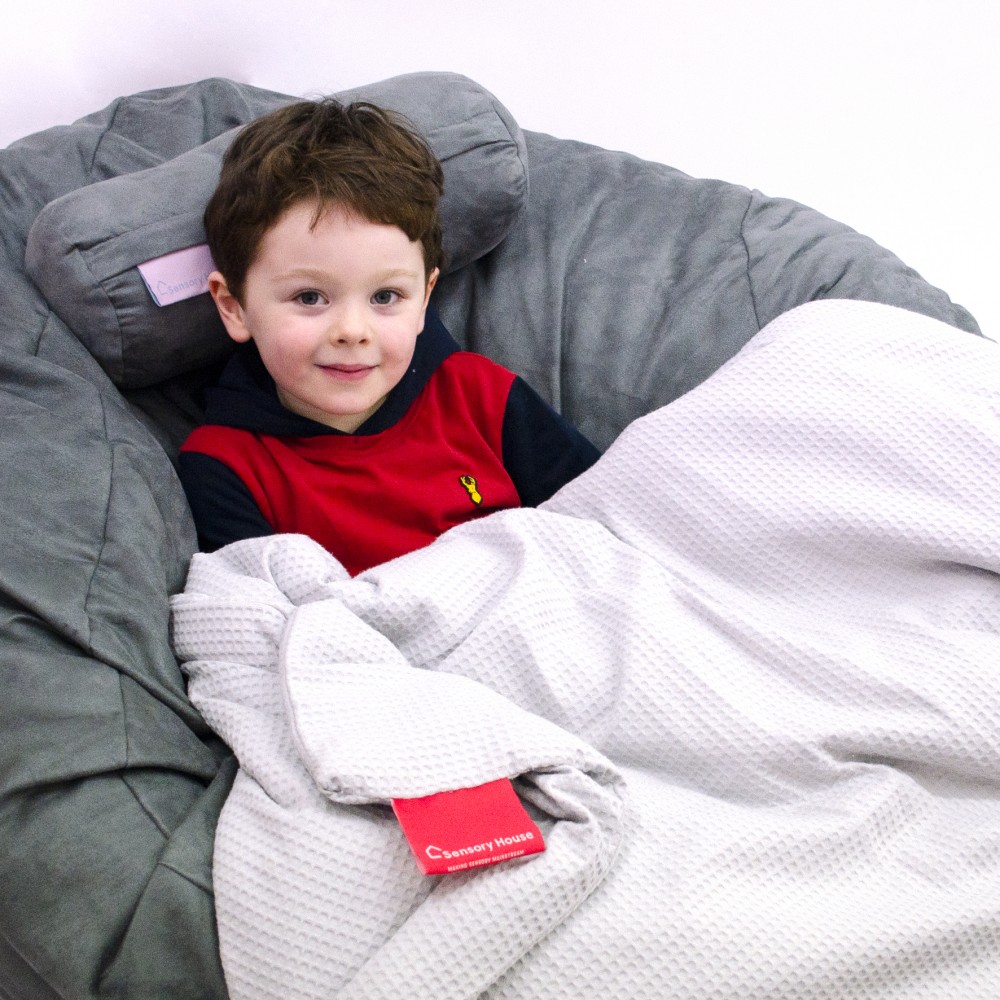 WEIGHTED BLANKET WITH REMOVABLE MACHINE WASHABLE COVER