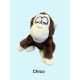 Chico - The Chatting Monkey