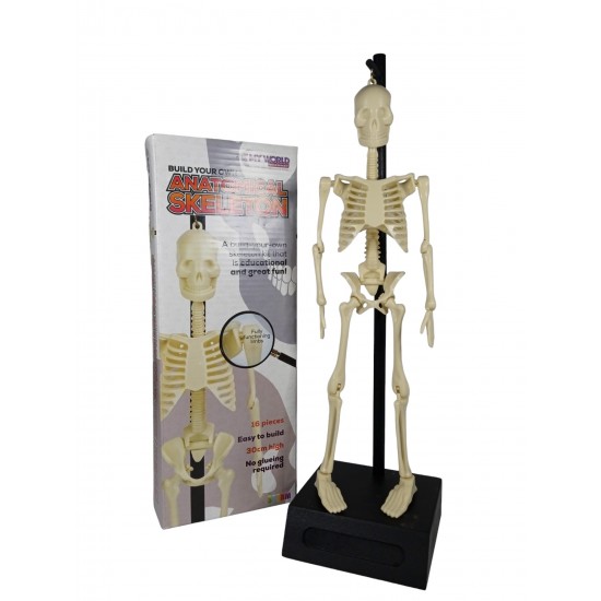 Build Your Own Skeleton Build Your Own Skeleton