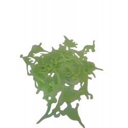 Glow In The Dark Dinosaurs