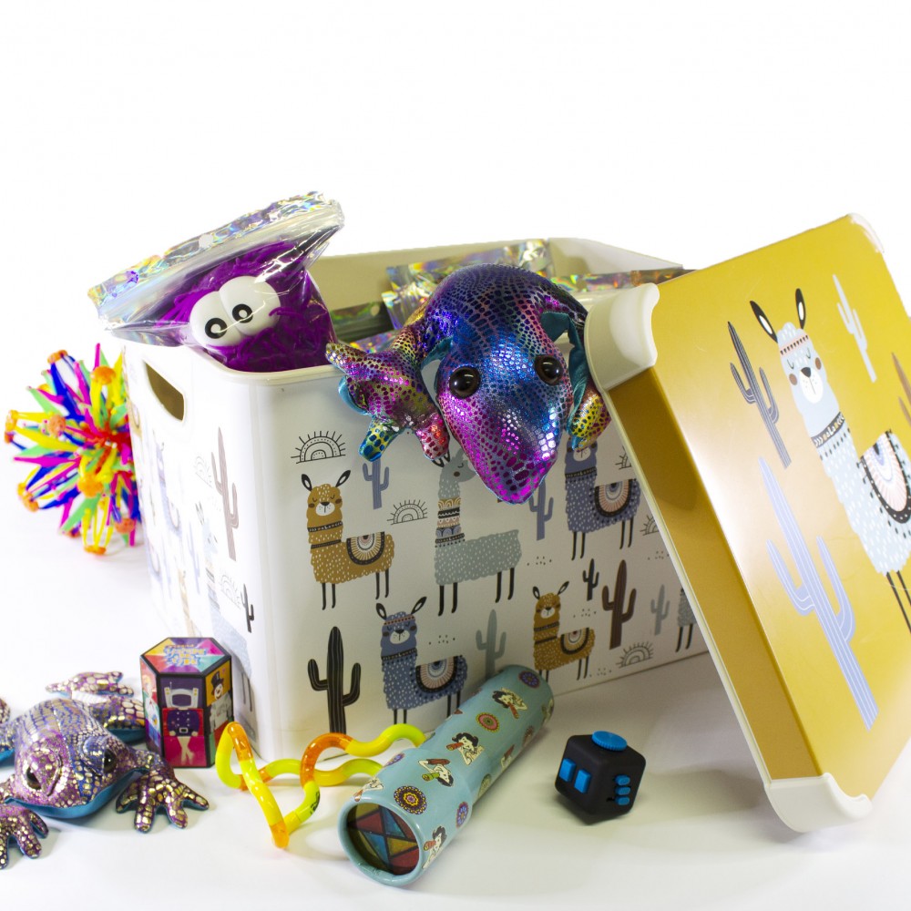 Fidget Box 25+ SENSORY FIDGETS