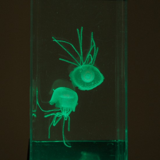 Jellyfish Lamp 
